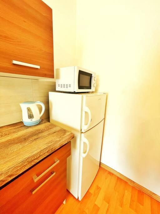 Central Spacious Flat ブダペスト エクステリア 写真